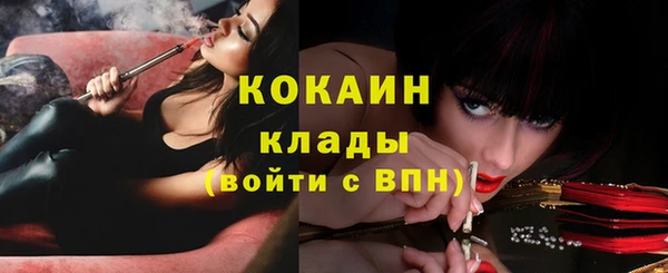 соль ск Кулебаки