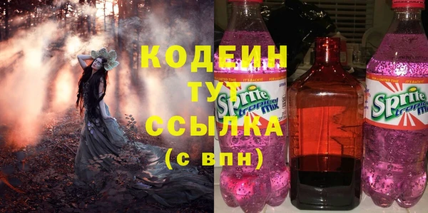 соль ск Кулебаки