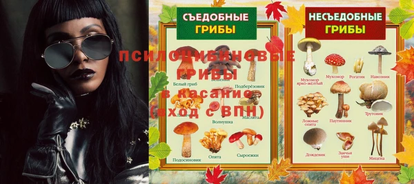 хмурый Лагань