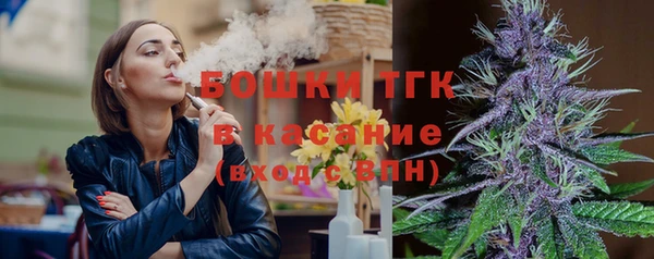 соль ск Кулебаки