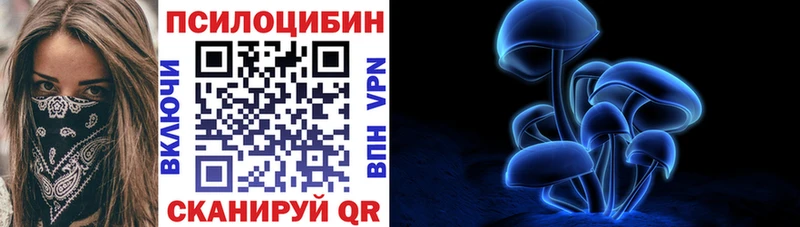 Купить где  Армавир  Псилоцибиновые грибы MAGIC MUSHROOMS 